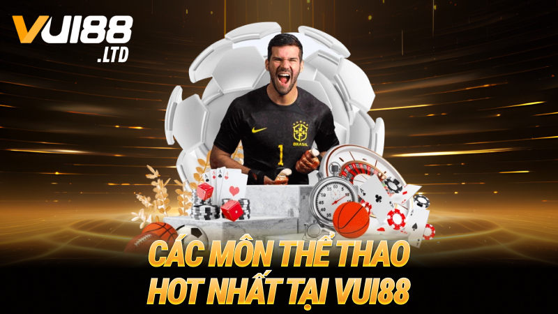 Các môn thể thao hot nhất tại VUI88