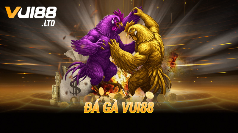 Đá gà VUI88
