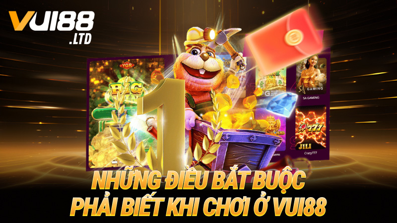 Những điều bắt buộc phải biết khi chơi ở VUI88